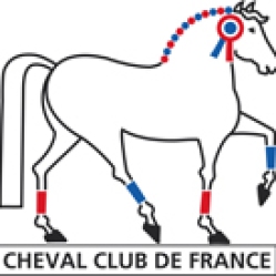Inf - Logo CCF - V1